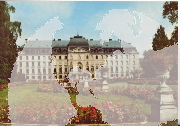 Donaueschingen - D 1988 95 002 ●